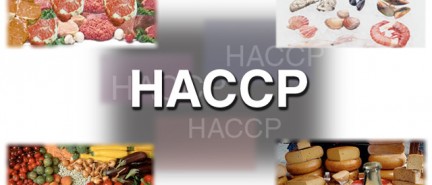 Hygiène Alimentaire, HACCP, PMS, GBPH qu’est-ce que c’est?