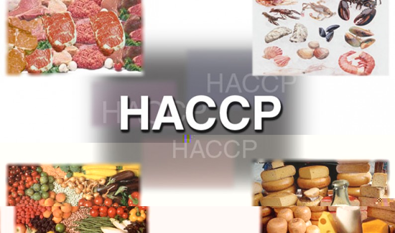 Hygiène Alimentaire, HACCP, PMS, GBPH qu’est-ce que c’est?