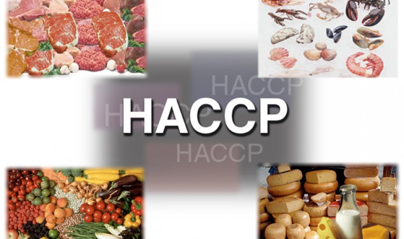 Hygiène Alimentaire, HACCP, PMS, GBPH qu’est-ce que c’est?